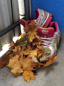 Laufschuhe vom Herbstlaub bedeckt und warten darauf sich wieder frei bewegen zu können.